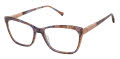Alexander Maya Summer Eyeglasses - Color Image