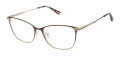 Alexander Sloane Brown Eyeglasses - Color Image