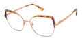 Ann Taylor AT111 Bronze (C01) Eyeglasses - Color Image