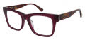 Ann Taylor AT352 Pine-Plum Tortoise (C03) Eyeglasses - Color Image