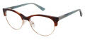Ann Taylor AT353 Tortoise Gold (C02) Eyeglasses - Color Image