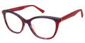 Ann Taylor AT354 Horn / Dark Rose (C02) Eyeglasses - Color Image
