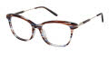 Ann Taylor ATP032 Brown Navy Horn (C01) Eyeglasses - Color Image