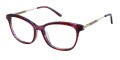 Ann Taylor ATP032 Mulberry Horn (C03) Eyeglasses - Color Image