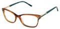 Ann Taylor ATP831 Brown Horn (C02) Eyeglasses - Color Image