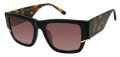 Ann Taylor ATP930 Black Tortoise (C01) Sunglasses - Color Image