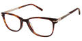 Ann Taylor ATP011 Tortoise (C02) Eyeglasses - Color Image