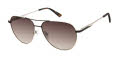 Ann Taylor ATP933 Black/Light Gld (C01) Sunglasses - Color Image