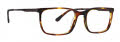 Argyleculture Gilmour Brown Horn Eyeglasses - Color Image