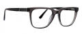 Argyleculture Hillman Grey Crystal Eyeglasses - Color Image