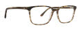 Argyleculture Perry Tortoise (TOR) Eyeglasses - Color Image