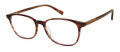 Aristar AR 18439 Brown (535) Eyeglasses - Color Image