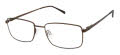 Aristar AR 30712 Dark Brown (564) Eyeglasses - Color Image