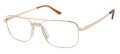 Aristar AR 30717 White Gold (502) Eyeglasses - Color Image