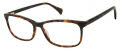Aristar AR 18432 Tortoise Eyeglasses - Color Image