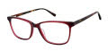 Aristar AR 18446 Wine Eyeglasses - Color Image