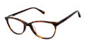 Aristar AR 18447 Tortoise Eyeglasses - Color Image