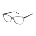 Aristar AR 18448 Gray (505) Eyeglasses - Color Image