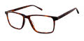 Aristar AR 18663 Tortoise Eyeglasses - Color Image