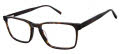 Aristar AR 18664 Tortoise Eyeglasses - Color Image