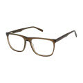 Aristar AR 18665 Brown (535) Eyeglasses - Color Image