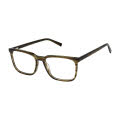 Aristar AR 18666 Brown (535) Eyeglasses - Color Image