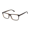 Aristar AR 18667 Tortoise (532) Eyeglasses - Color Image