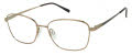 Aristar AR 30826 Gold Eyeglasses - Color Image
