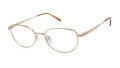 Aristar AR 30829 Gold (584) Eyeglasses - Color Image