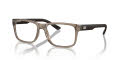Armani Exchange AX3016 Shiny Transparent Brown (8011) Eyeglasses - Color Image