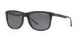 Armani Exchange AX4070S Black / Polarized Grey Lens (815881) Sunglasses - Color Image