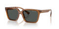 Armani Exchange AX4147S Shiny Transparent Brown / Dark Grey (835887) Sunglasses - Color Image
