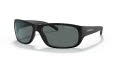 Arnette AN4290 - Uka-Uka Matte Black/Polarized Dark Grey (275881) Sunglasses - Color Image