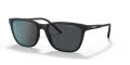 Arnette AN4291 - Cortex Matte Black/Dark Grey (275887) Sunglasses - Color Image