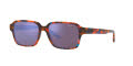 Arnette AN4303 Mineral Red Blue Brown / Dark Violet Lens (12347V) Sunglasses - Color Image