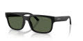 Arnette AN4362 Matte Black/Dark Green Polar (29009A) Sunglasses - Color Image