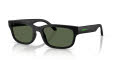Arnette AN4363 Matte Recycled Black/Dark Green Polar (29009A) Sunglasses - Color Image