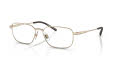 Arnette AN6133 Matte-Light-Gold (751) Eyeglasses - Color Image