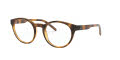 Arnette AN7182 Shiny Havana (2675) Eyeglasses - Color Image