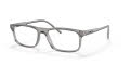 Arnette AN7194 Dark Voyager Transparent Grey (2665) Eyeglasses - Color Image