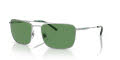 Arnette AN3088 Silver / Green (758/2) Sunglasses - Color Image