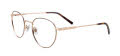 Cool Clip CC856 With Clip-On Lens Brown & Gold (015) Eyeglasses - Color Image