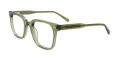 IChill C7058 No Clip-On Lens Transparent Khaki (60) Eyeglasses - Color Image