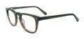 IChill C7059 No Clip-On Lens Transparent Khaki & Transparent Striped Brow (60) Eyeglasses - Color Image