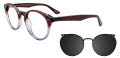 Takumi TK1017 With Magnetic Clip-On Lens Dark Dark Brown & Crystal with Clip on Lens (010) Eyeglasses - Color Image