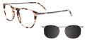 Takumi TK1150 With Magnetic Clip-On Lens Demi Brown & Matte Dark Steel with polarized clip on lens (10) Eyeglasses - Color Image