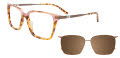 Takumi TK1244 with Magnetic Clip On Lens Tortoise (10) Eyeglasses - Color Image