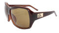 Black Flys On The Fly Brown / Amber Sunglasses - Color Image