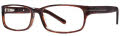 B.M.E.C. Big Mens Big Bang Brown / Brown Eyeglasses - Color Image