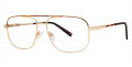 B.M.E.C. Big Mens Big Earl Tortoise - Gold  Eyeglasses - Color Image